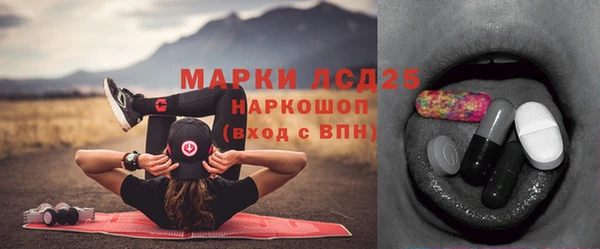шишки Алексин