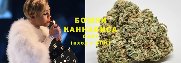 шишки Алексин