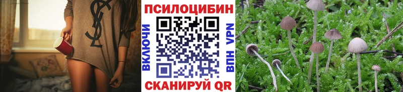 Галлюциногенные грибы Psilocybe  Павловская 